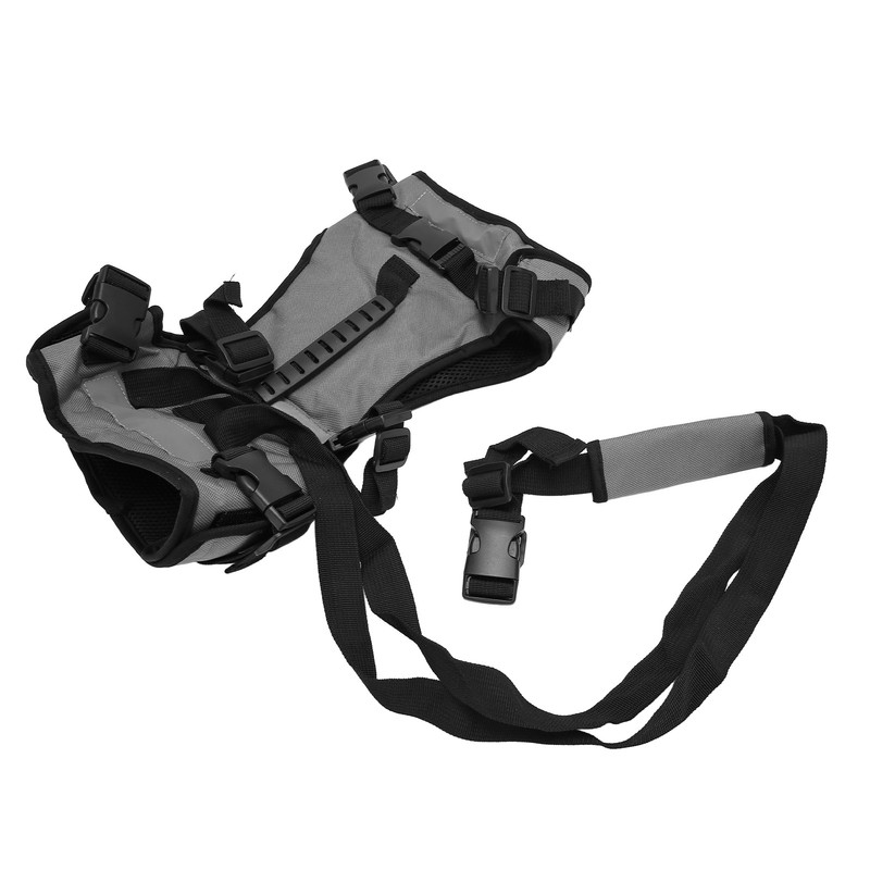 Cat Vest Harnesses Leash Adjustable Breathable Stylish Multifunctional Pet Walking