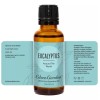 Edens Garden Aceite Esencial De Eucalipto Around The World,