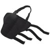 Dog Hind Leg Brace Stable Support Knee Pads Puppy Rear