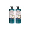 Aekyung 애경 케라시스 코코넛오일 샴푸 1L 2개 973651 Aekyung Kerasis Coconut Oil Shampoo 1L 2pcs [Kerashis Coconut Oil Shampoo 1L (2 units)]