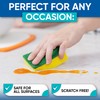 Blue Turtle Multipurpose Sponges – All Surface Cleaning Sponges –