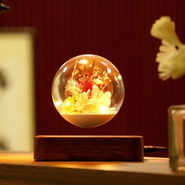 MAGECMOON Magnetic Levitation Preserved Flower, Forever Real Eternal Roses, Floating Lamp Levitating LED Light Bulb, Gifts for Kids Lover Friends (Dark)