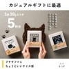 Cats and Beans Coffee for Cat Lovers, Cat Tomamame Drip