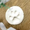 Pet Keepsake Kit - Memory Box, Clay Paw Print Impression,