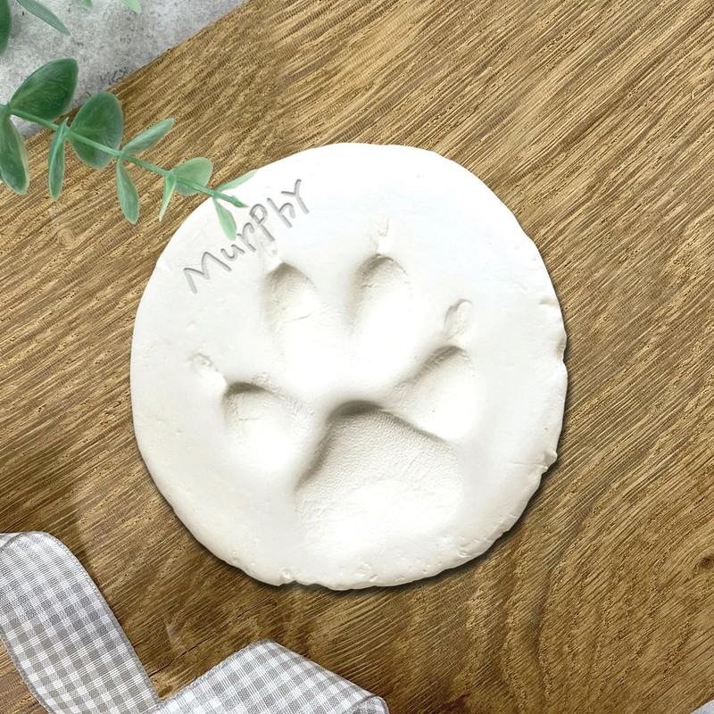 Pet Keepsake Kit - Memory Box, Clay Paw Print Impression,