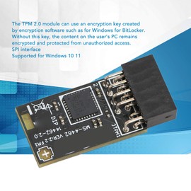TPM 2.0 Module, TPM SPI Module 12Pin Encryption Security Module with SLB 9672, for MSI Motherboard, for Windows 10 11