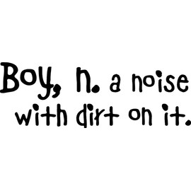 Boy, N. A Noise with Dirt on it Cute Wall Sayings Art Vinyl Decal