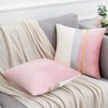 Set of 2 Velvet Pink Cushion Covers with Gold Striped