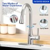 GOESMO Modern Touchless Kitchen Faucet Pull Sprayer Adjustable Water Flow