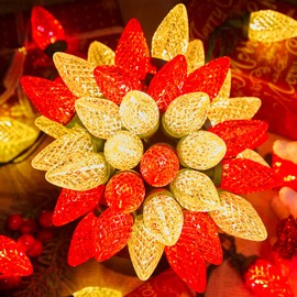 C9 LED Christmas String Lights, 66 ft 100 LED Strawberry Roof Lights, Commercial Grade Waterproof Extendable for Indoor Outdoor Roofline Home Xmas Decor, Red and Warm White