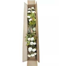 Ashland 8 Viral Ashland Michael's Cream Peony Stems • Set of 8 • Peony