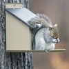 Stokes Select Lunch Box Squirrel Feeder with Metal Roof, 4.1
