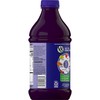 V8 Pomegranate Blueberry, 46 oz. Bottle