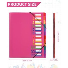 Document Folder A4, Portable Expanding Folder with 12 Compartments, with Labels, A4 Project Folder, with Elastic Band, Waterproof, for Desk Organisation and Storage of Project Documents, Pink Red