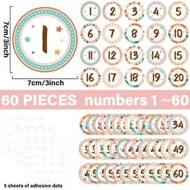 QOUBAI 60Pcs Boho Number Cutouts Number 1 to 60 Rainbow Bulletin Board Accent Cutouts Groovy Laminated Student Numbers Classroom Circle Number Stickers for Toddler Kids Preschool Classroom Decorations