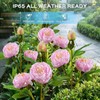 TANSOREN 2 Pack Solar Garden Lights Outdoor, 8 Lighting Modes