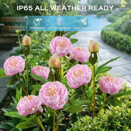 TANSOREN 2 Pack Solar Garden Lights Outdoor, 8 Lighting Modes Warm White LED Waterproof Solar Powered Peony Flowers Landscape Light for Outside Yard, Patio, Pathway Decorative, Décor, Gifts