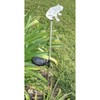 Unido Box Frog Solar Garden Stake Light LED Color-Changing, Set