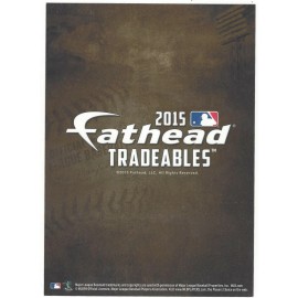 Fathead ADRIAN BELTRE FATHEAD TRADEABLES TEXAS RANGERS LOGO REMOVABLE DECAL 2015 #28