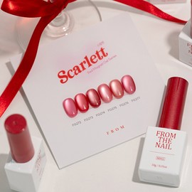 From the Nail Scarlet 6 types of individual items Red Magnet Gel / 프롬더네일 스칼렛 6종 단품 레드자석젤