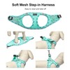 Mercano Soft Mesh Dog Harness and Leash Set, No-Chock Step-in