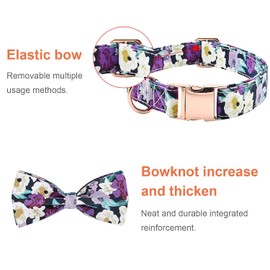 Floral Dog Collar with Bow Tie Buckle Puppy Soft Adjustable for Small Medium Large Size Dogs and Cats Pet Collars Girls Fresh Flower Wild Vintage Cat Hound Spring Scent Inspired Rose Print Turquoise
