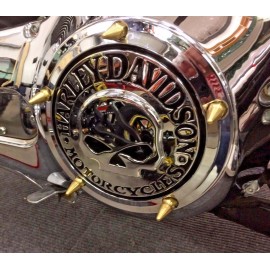 diycycleparts 5 BRASS SPIKE DERBY COVER BOLT KIT harley evo big twin cam clutch 99 - 18 bobber