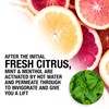 men-ü Citrus & Mint Shower Gel 100ml