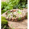 Happy Frog Tabletop Birdbath - 10 L x 10.5 W