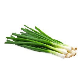 Scallion Bunching Onion Seeds, 250+ Evergreen Hardy White, Heirloom, Non-GMO, Allium fistulosum