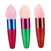 Beavorty Makeup Sponge Brush 3pcs Wet Dry Foundation Egg Puff