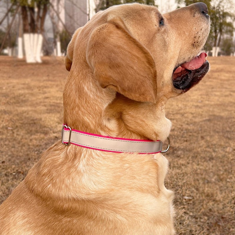 Boswany Highly Reflective Dog Collar, Adjustable Nylon Basic Collar Quick