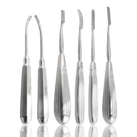 Cynamed Set of 6 Bone Files & Chisels - High Precision Surgical Instruments for Dental and Veterinary Use - Durable Stainless Steel