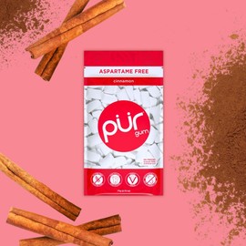 PUR Gum | Aspartame Free Chewing Gum | 100% Xylitol | Natural Cinnamon Flavored Gum, 55 Pieces (Pack of 6)