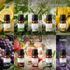Set de 20 Aceites Esenciales para Difusor, 10 ml Cada