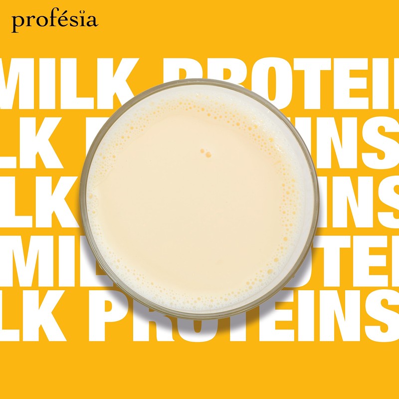 PROFESIA Maske für trockenes und dehydriertes Haar mit Milchproteinen, 500