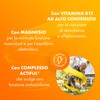Sustenium Plus 50+ Integratore Alimentare Energizzante con Vitamina B12 Alto