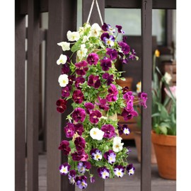 HANG & GROW Burlap Saddle Bag Planter for Outdoor Plants Vertical Flower for Easy Outside Garden Decoration Reusable Hanging Bag for Flowers, Strawberry, Vegetables and Herbs, 1 Bag with 10 Holes