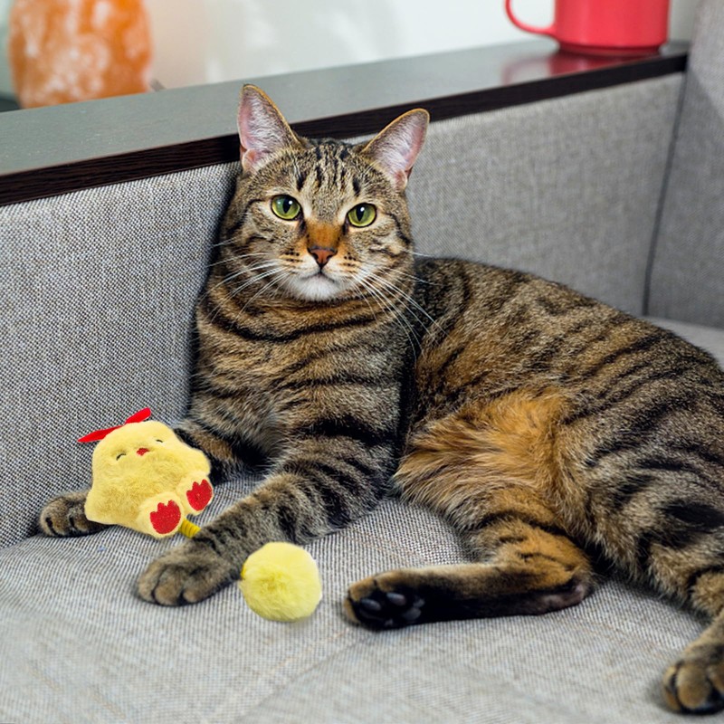 Andiker Catnip Toys, Cat Interactive Toys with Silvervine Fruit &