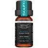 Bienat | Aceite Esencial de Eucalipto 10mL Natural | Difusor