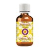 Pure Sea Buckt Horn Oil 15ml (Hippophae rhamnoides) 100% Natural