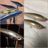 wLure 10 Blank Minnow Fishing Lure Bodies 3 Inch 1/2