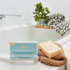 Abundant Natural Health Exfoliating Body Bar 90g
