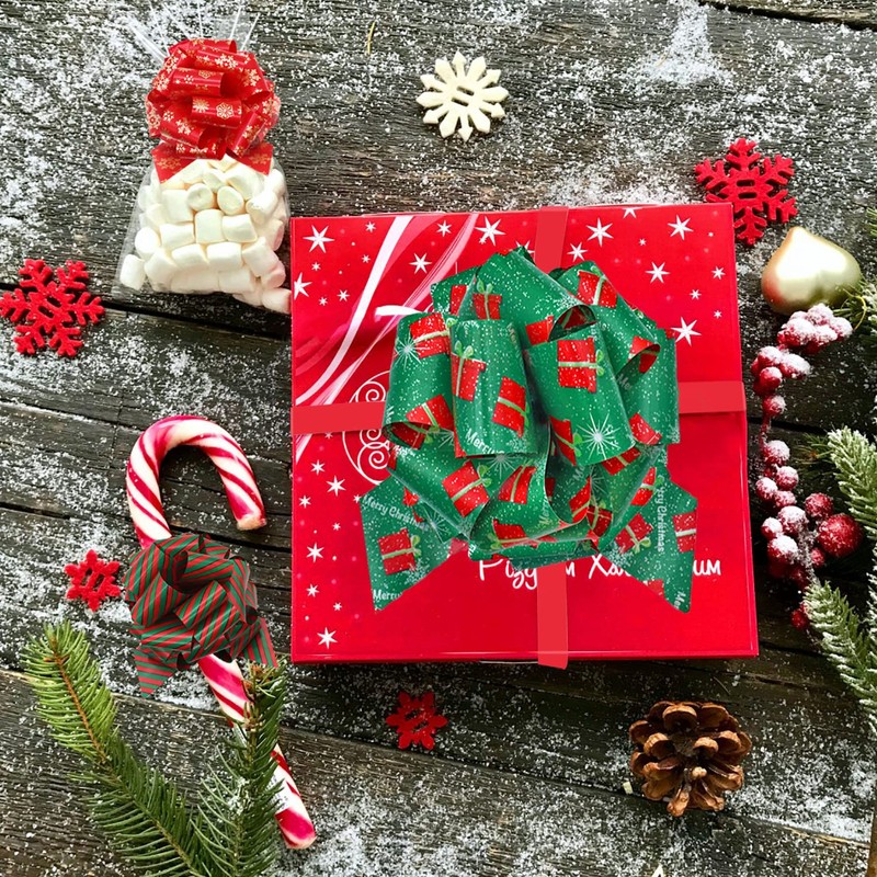 Derbway Christmas Bows Pack of 12 5 Inch Gift Bows