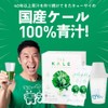 Kyusai Blue Juice The Kale Mini Stick Powder, 0.1 oz