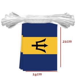 30PCS Barbados National Flag Bunting String,33 FT Barbados Pennant Banner Decoration,Decoration Banner for School Party Meeting Carnival Decor
