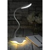 USB LED Desk Lamp with Nightlight