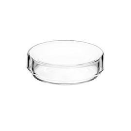 QWORK Glass Petri Dish Petri Plates with Lid, Thicken, 60mm x 18mm, 5 Pack