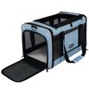 GAPZER Cat Carrier 18 x 11 x 11 Top Loading