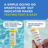 FROG @Ease Test Strips for Hot Tubs and Swim Spas